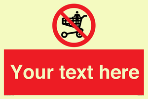 Custom prohibition no standing in trolley